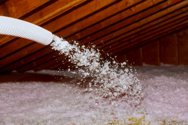 Types of Insulation We Offer in Tignall, GA