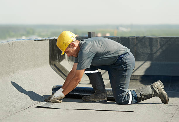 Best Eco-Friendly Insulation in Tignall, GA