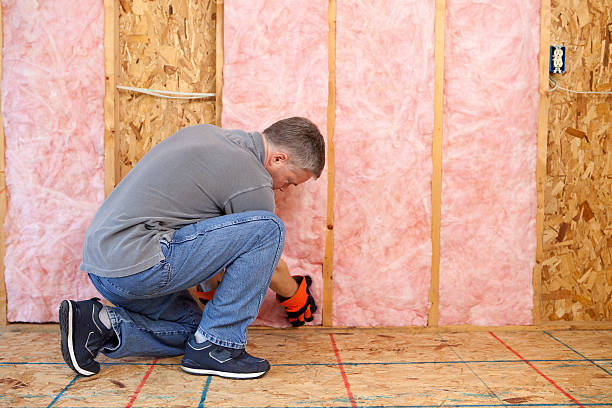 Best Residential Insulation in Tignall, GA